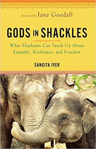 Book Cover Upload